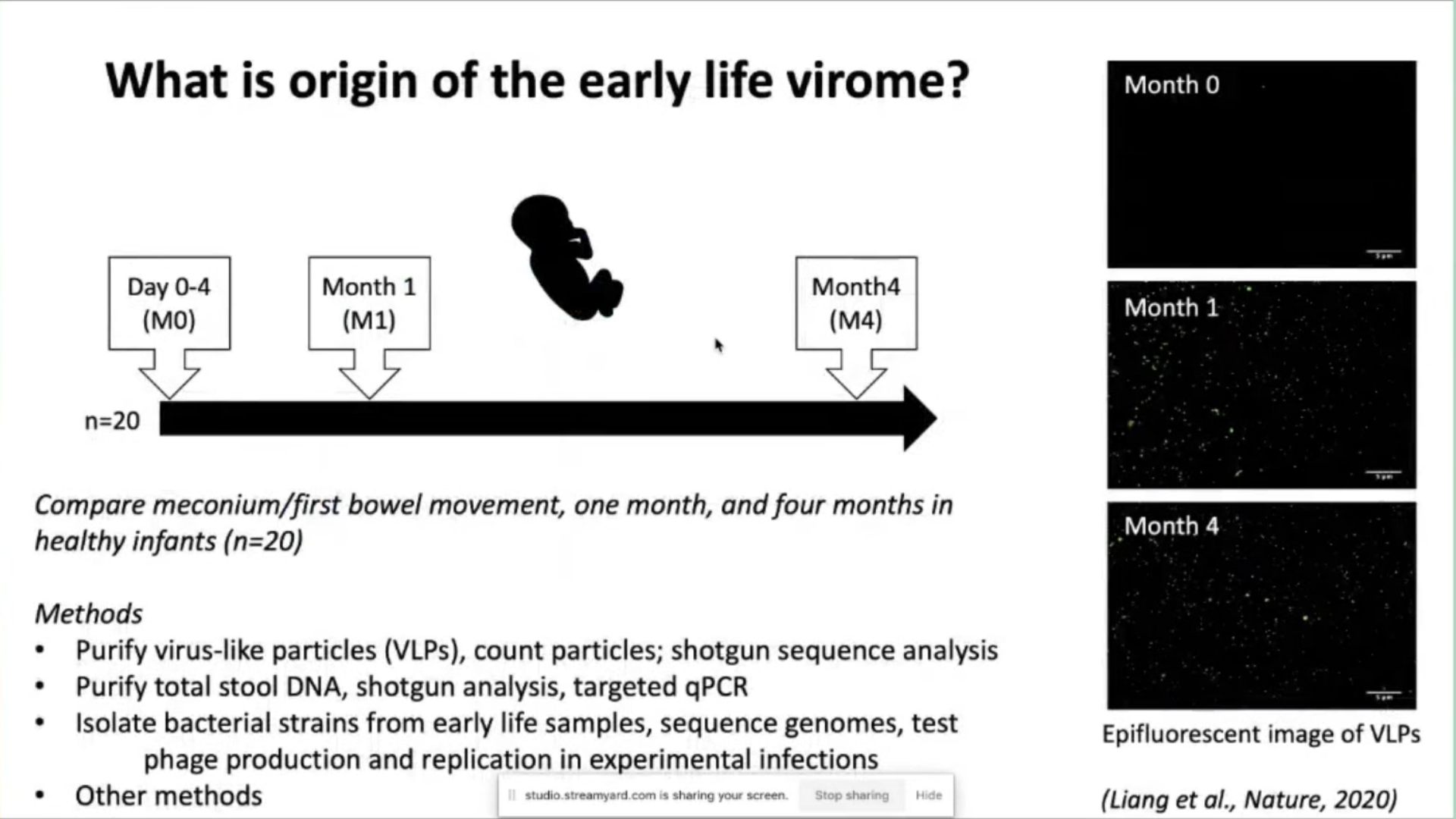 What is origin of the early life virome?
Month 0
Day 0-4
Month 1
Month4
Month 1
(M0)
(M1)
(M4)
n=20
Compare meconium/first bowel movement, one month, and four months in
Month 4
healthy infants (n=20)
Methods
Purify virus-like particles (VLPs), count particles; shotgun sequence analysis Purify total stool DNA, shotgun analysis, targeted qPCR
Isolate bacterial strains from early life samples, sequence genomes, test
Epifluorescent image of VLPs
phage production and replication in experimental infections
Other methods
studio.streamyard.com is sharing your screen
Stop sharing
Hide
(Liang et al., Nature, 2020)