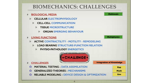 BIOMECHANICS: CHALLENGES
BIOLOGICAL MEDIA
Multiscale
CELLULAR ELECTROPHYSIOLOGY
CELL-CELL COMMUNICATION
TISSUE MICROSTRUCTURE
ORGAN EMERGING BEHAVIOUR
LIVING FUNCTIONS
Multiphysics
ACTIVE CONTRACTILITY - MOTILITY - REMODELING
LOAD BEARING STRUCTURE-FUNCTION RELATION
PHYSIO-PATHOLOGY ENERGETICS
CHALLENGE
CHALLENGES
Integration of Knowledge
MATERIAL TESTING - DATA ASSIMILATION
GENERALIZED THEORIES - MECHANISMS
Math
RELIABLE MODELING - DEVICE DESIGN & OPTIMIZATION