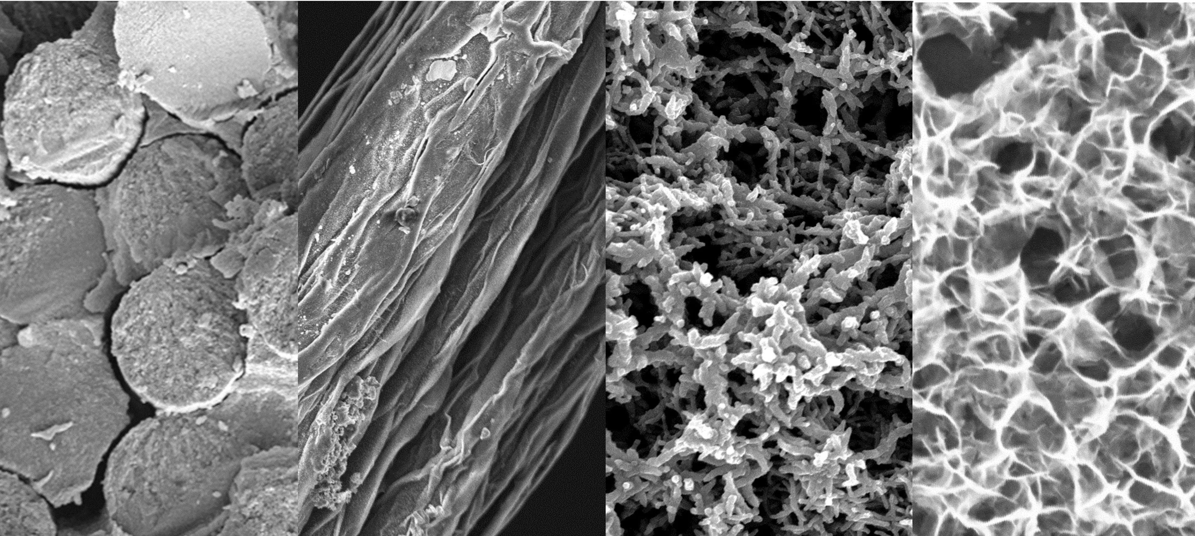Engineering Practices for Composite Aircraft Structural Damage Tolerance and Aging