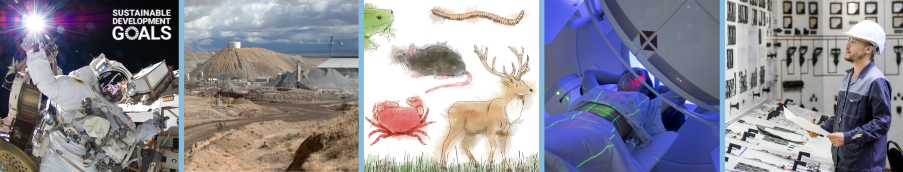 The Contribution of Radiological Protection to Sustainable Development