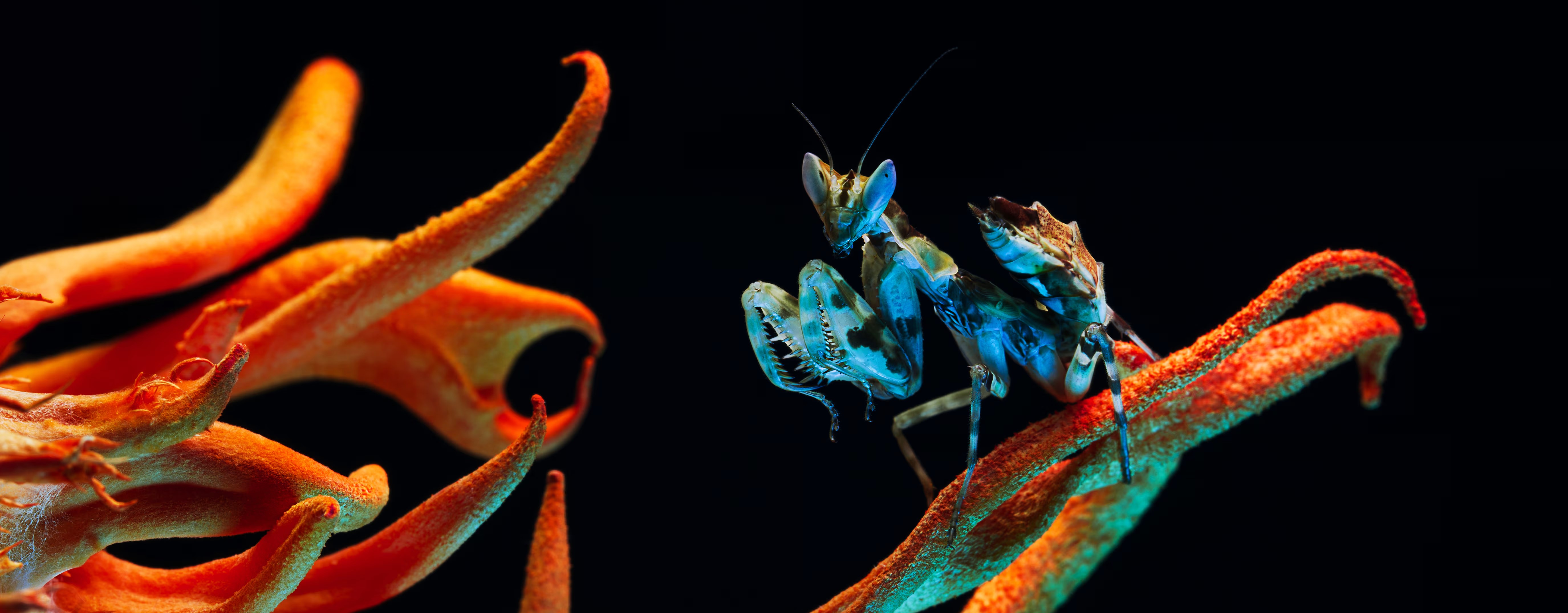 Royal Society journals seminar collection