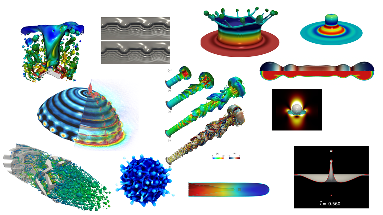 Numerical simulations of multiphase flows with various complexities