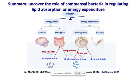 Summary: uncover the role of commensal bacteria in regulating
lipid absorption or energy expenditure
Obesity
Energy Intake
Energy Expenditure
Appetite
Absorption
Thermogenesis
Exercise
Myo-inositol 1
Propionate1
Glutamate.
M. rupellensis
B. thetaiotaomicron
A. muciniphila
Nat Med 2017; Cell Host
icrobe 2024b; Cell Metab 2025
streamyard.com#.