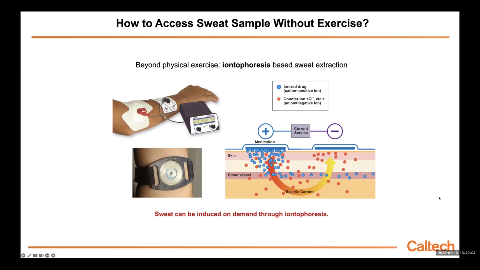 (VIDEO) Skin-Interfaced Wearable Biosensors - presented by Prof. Wei ...