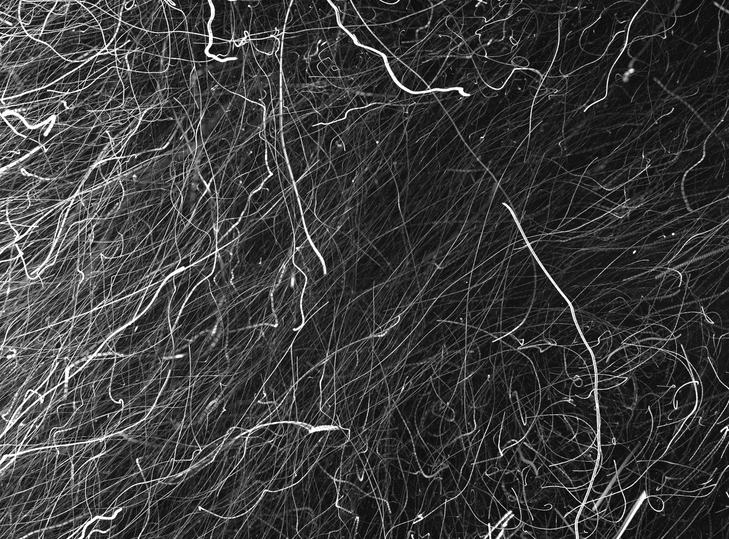 On the relative motion of Lagrangian particles in turbulence