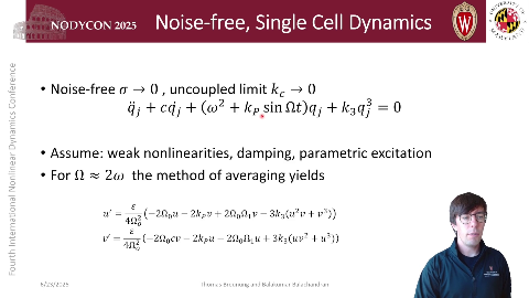 UNIVERSITY OF
Noise-free, Single Cell Dynamics
NODYCON 2025
MARYLAND
Noise-free σ
0, uncoupled limit kc
Fourth International Nonlinear Dynamics Conference
qⱼ + cqⱼ + (w² + kₚ sin Ωt)qⱼ + k₃qⱼ = 0
Assume: weak nonlinearities, damping, parametric excitation
For Ω ≈ 2w the method of averaging yields
u' = ε
v' = 4Ω² ε u³))
Department of
Engineering
6/23/2025
Thomas Breunung and Balakumar Balachandran