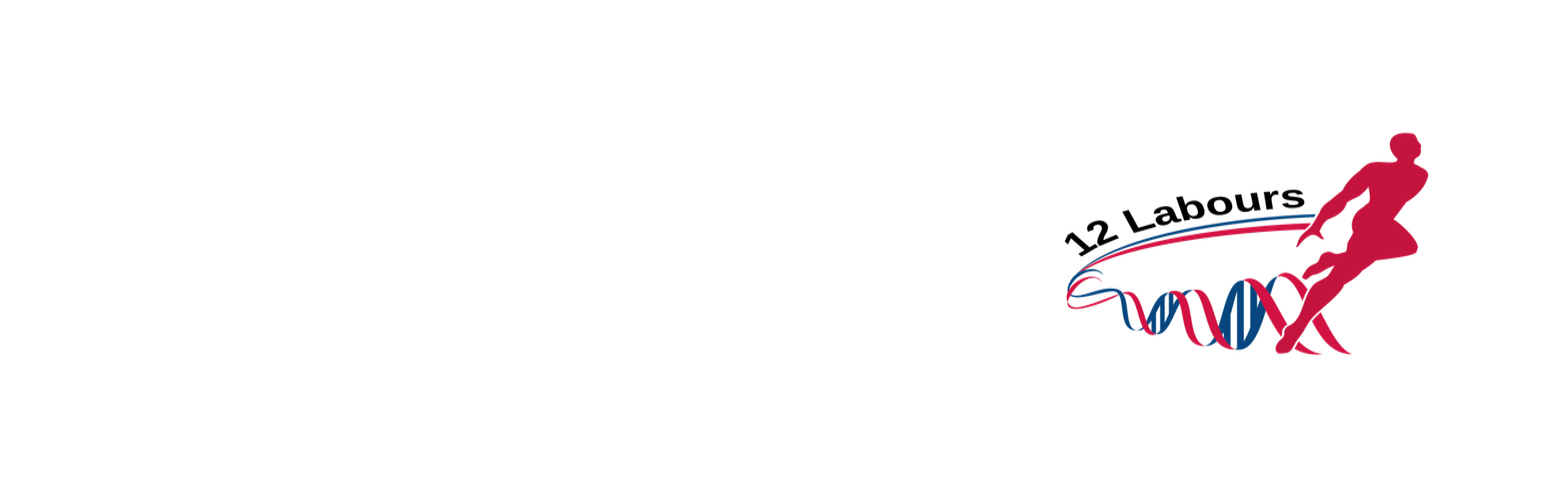 Multiscale modelling based on biophysical mechanisms for the human digital twin