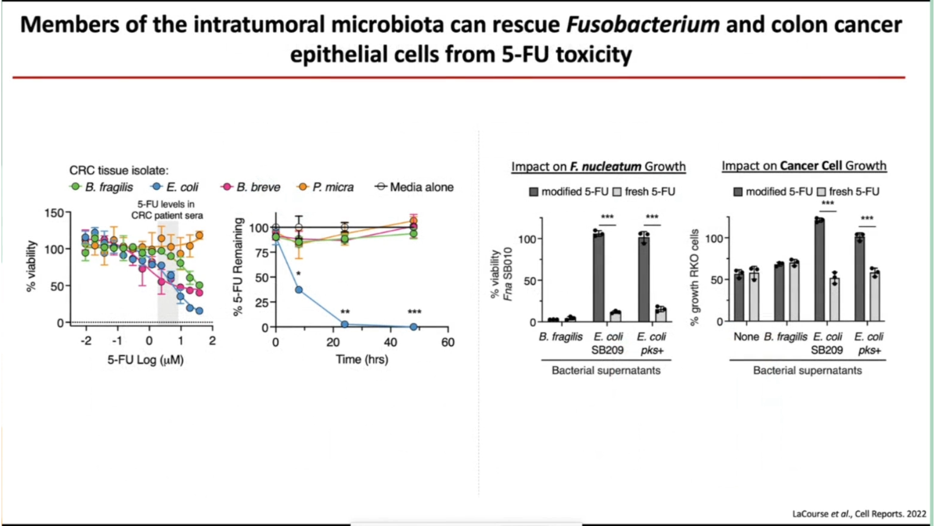 Slide 6/32 at 07:22: epithelial cells from 5-FU toxicity
