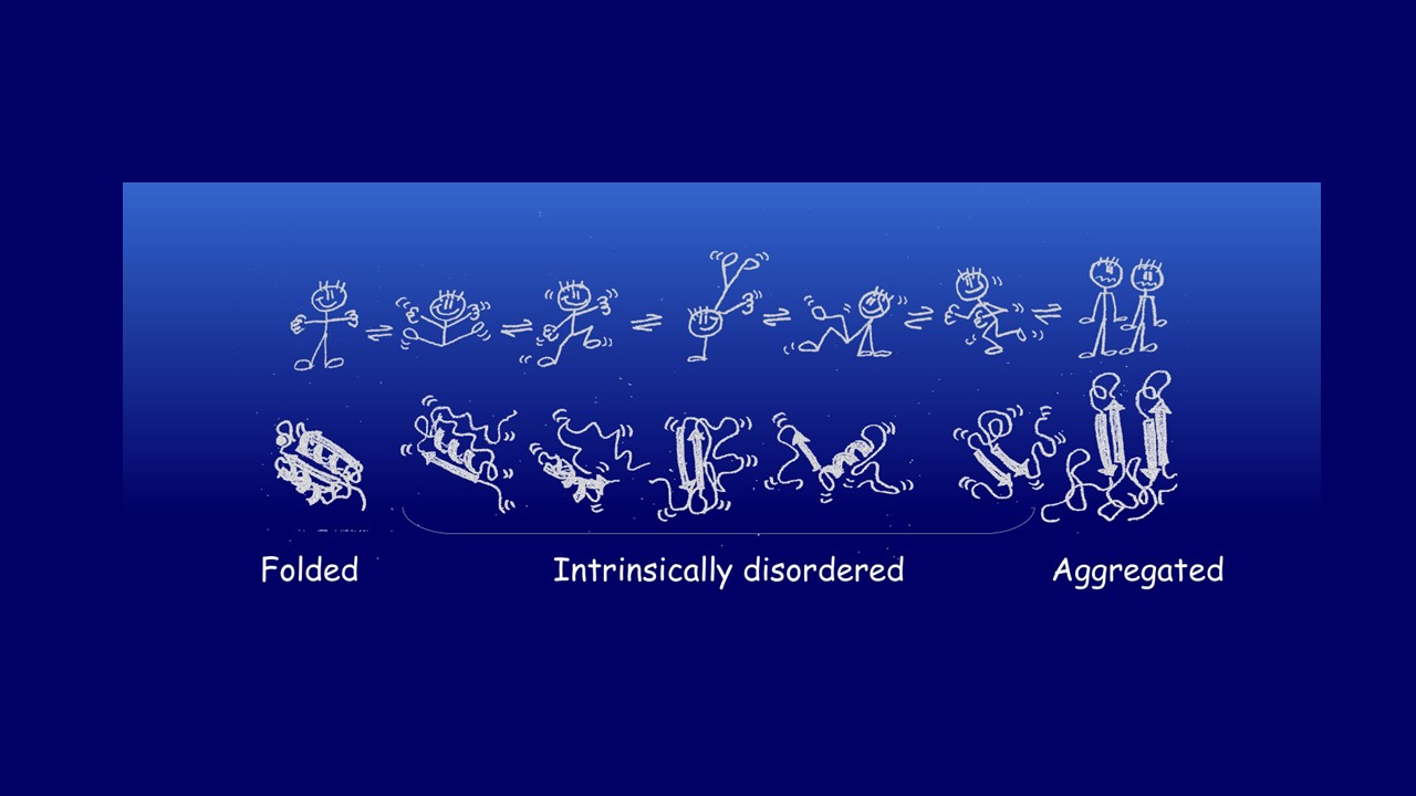 Addressing Neurodegenerative Diseases in Support of SDG  3: Good Health and Wellbeing: Recent Advances in Alzheimer’s and Other Neurodegeneration Research 