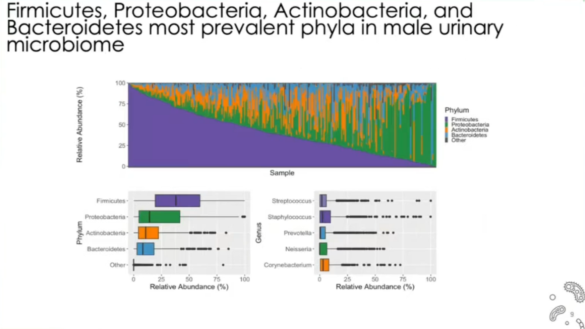 Slide 6/21 at 03:11: Bacteroidetes most prevalent phyla in male urinary