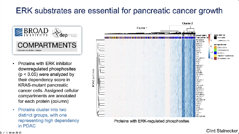 Slide 70/89 at 29:27: substrates are essential for pancreatic cancer growth