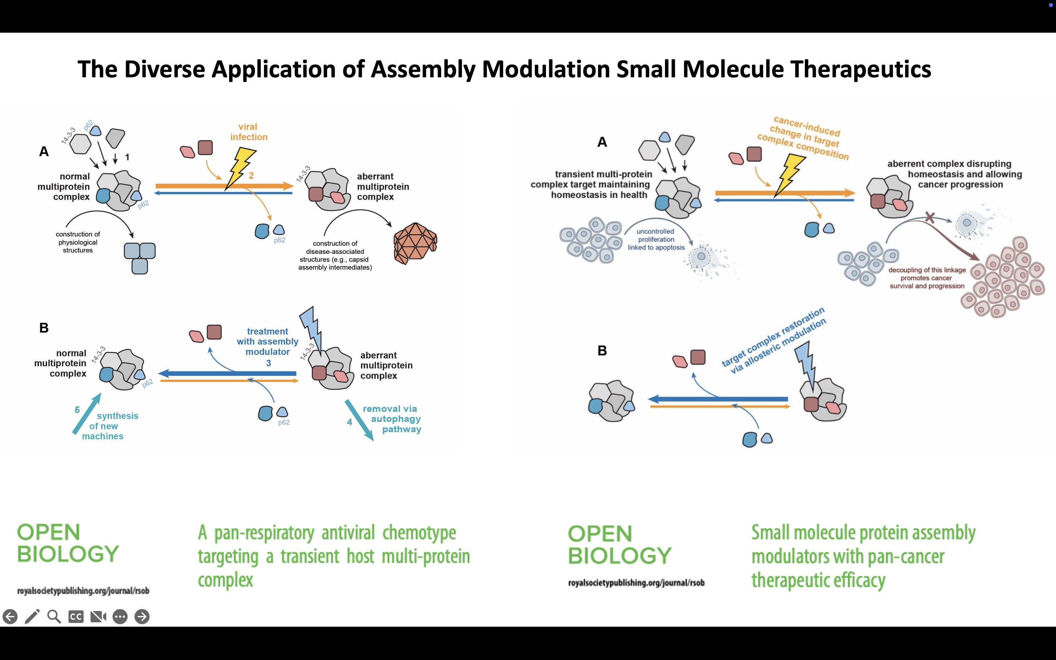 Assembly Modulation: An Emergent Drug Discovery Strategy Revealed by Viruses and Applicable Across Therapeutic Areas