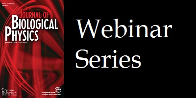 Curvature dynamics of biomembranes: role of membrane viscosity and interleaflet friction