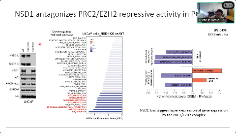 Slide 31/42 at 40:39: NSD1 antagonizes PRC2/EZH2 repressive activity in P(