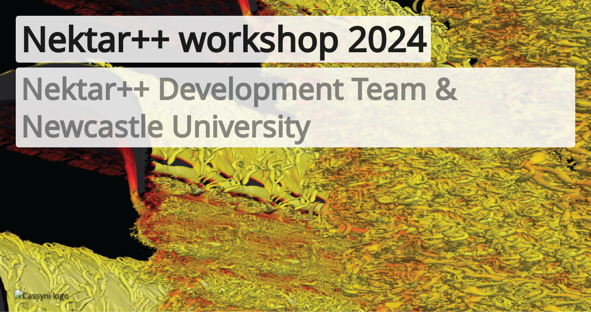 Nektar++ workshop 2024 - Schedule of sessions · Cassyni